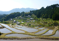 株式会社丸文運送