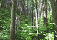 株式会社インターナル