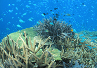 有限会社クレス